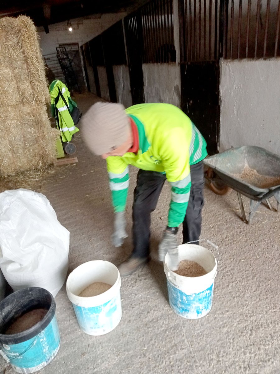 Fundación Cadisla ha vuelto a conseguir el apoyo de <a href="/fmapfre/">Fundación MAPFRE</a>  para seguir trabajando por la inserción laboral de las personas con discapacidad y/o trastorno mental grave y crónico en 2025.

#LaRecompensaEmocional #JuntosSomosCapaces #fundacioncadisla #insercionlaboral