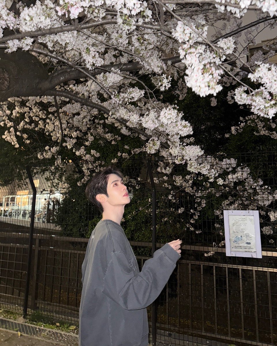 Jamessu_w's tweet photo. 🌸 #JamesSu https://t.co/sYrXDH6IJ5
