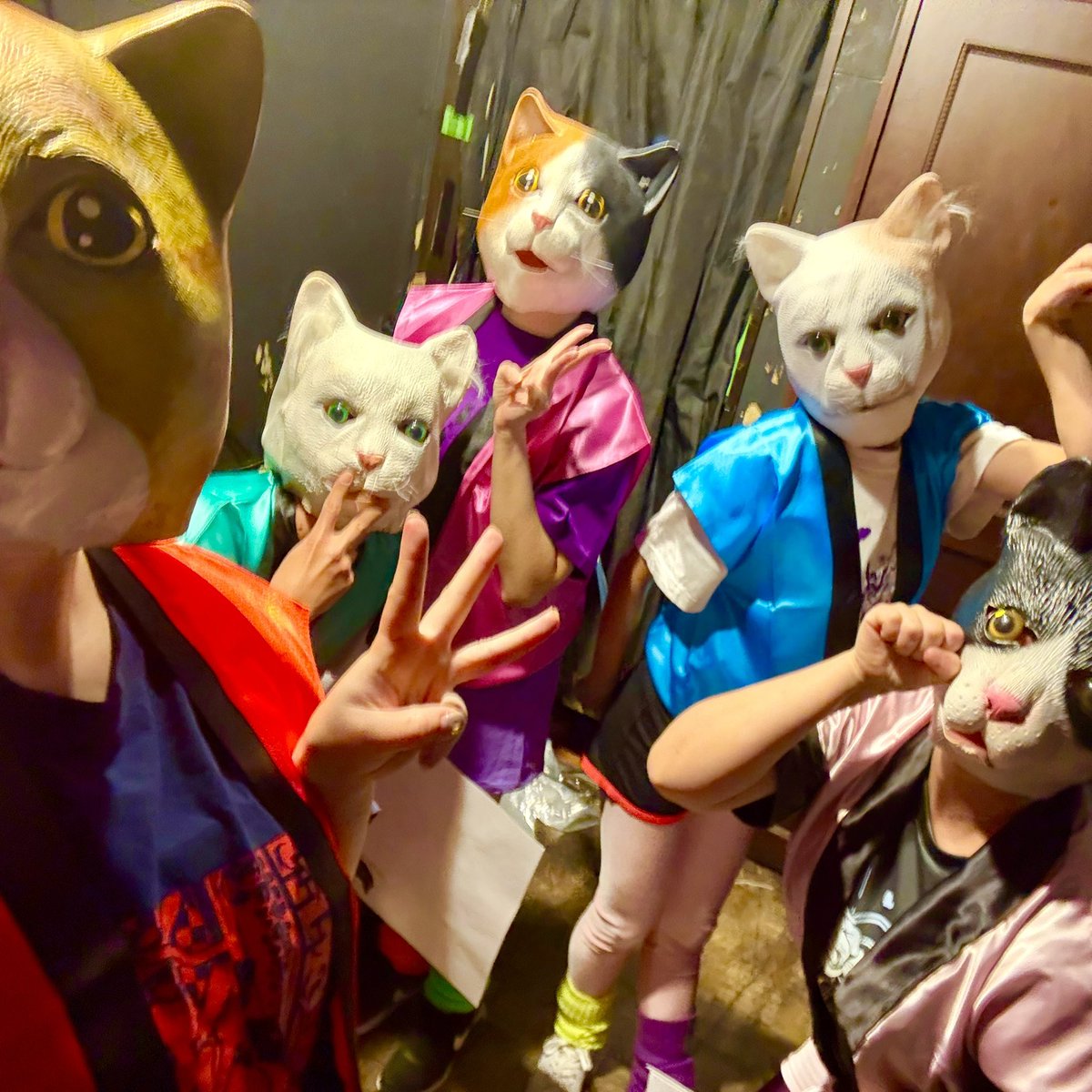 nukko_sun's tweet photo. #しれだべ
#SDCvol5

S.D.C vol.5 しれだべに出演いたしました🐈‍⬛
たくさんの戸惑いの反応と悲鳴をありがとうございましたんたんめん💛

新メンバーも入りまして、お名前覚えるのがそろそろ大変になってきたかな😽あぁー面白い！

love♡

#ヌッコさん https://t.co/Iy2uKJf0Q3