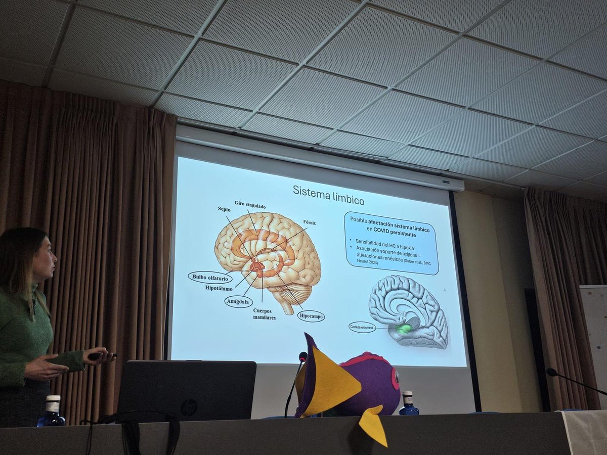 🔬 La pasada semana se celebraron las II Jornadas de COVID Persistente Asturias, con la colaboración de #INEUROPA y las valiosas ponencias de nuestras investigadoras María Nosti, Ana Coto Montes y Tania Llana.
#COVIDPersistente #Investigación