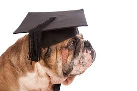 It's Graduation Day Bulldogs!  Can't wait to see our amazing Seniors from the Class of 2025 cross the stage!  Ceremony starts at 9 am on the UMBC campus. #wchs