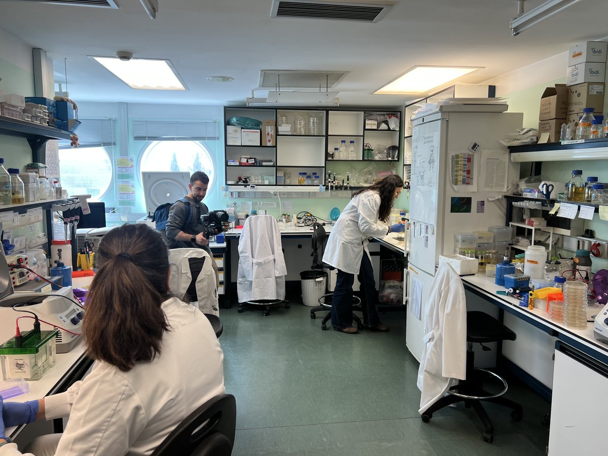 ALADDIN project (@projectaladdin) on Twitter photo Last week, we recorded material for something exciting!
We thank our coordinating institution <a href="/CNB_CSIC/">Centro Nacional de Biotecnología (CSIC)</a> for opening the doors to its laboratories to us 🔬
We’ll share the results of the recordings soon! Last week, we recorded material for something exciting!
We thank our coordinating institution <a href="/CNB_CSIC/">Centro Nacional de Biotecnología (CSIC)</a> for opening the doors to its laboratories to us 🔬
We’ll share the results of the recordings soon!