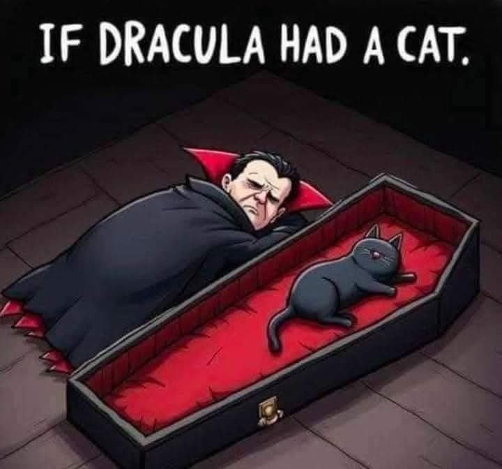 cats with powerful impression 🐾 tweet media