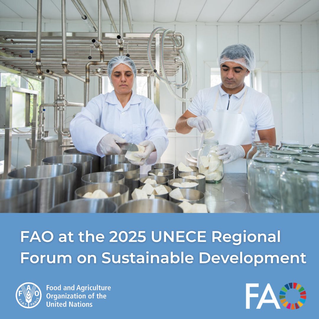 FAOGeneva's tweet image. 📢 Join @FAO at the 2025 @UNECE Regional Forum on Sustainable Development

FAO will launch key reports &amp;amp; host discussions on food security, gender equality in #AgrifoodSystems &amp;amp; sustainable water management.

📅 2-3 April | Geneva &amp;amp; Online
ℹ️ bit.ly/4bInDXe

#Agenda2030