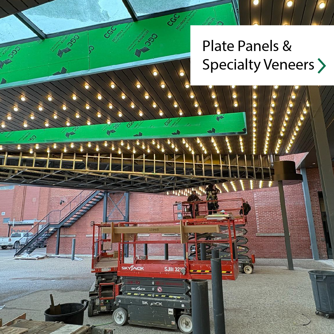 On_Panelization's tweet image. 🚧 Project Update: Hard Rock Cafe 🚧

We&apos;re excited to share the latest progress on the Hard Rock project! Our team is installing 134K sq. ft. of Plate Panels and special veneers, bringing this iconic venue to life.

#ArchitecturalDesign #FacadeEngineering #ConstructionUpdate