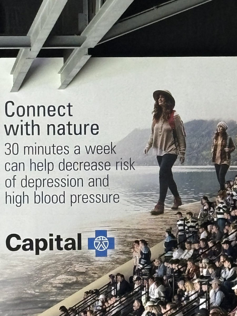 Tom Gilbert tweet media