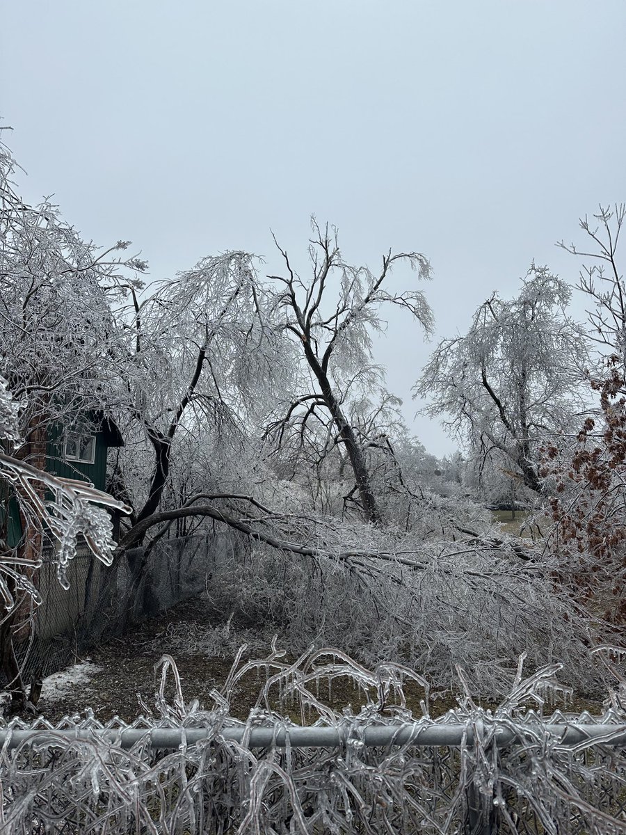 Meanwhile in Canada…

Power was out for almost 30 hrs and my family immediately went feral