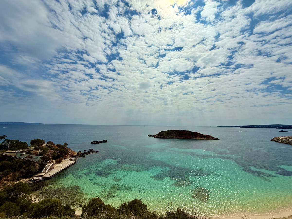 Tina | تینا tweet media