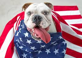Have a safe and fun Independence Day Bulldogs!  During the festivities take a moment and stop to reflect on the values that make sour country great.  #wchs