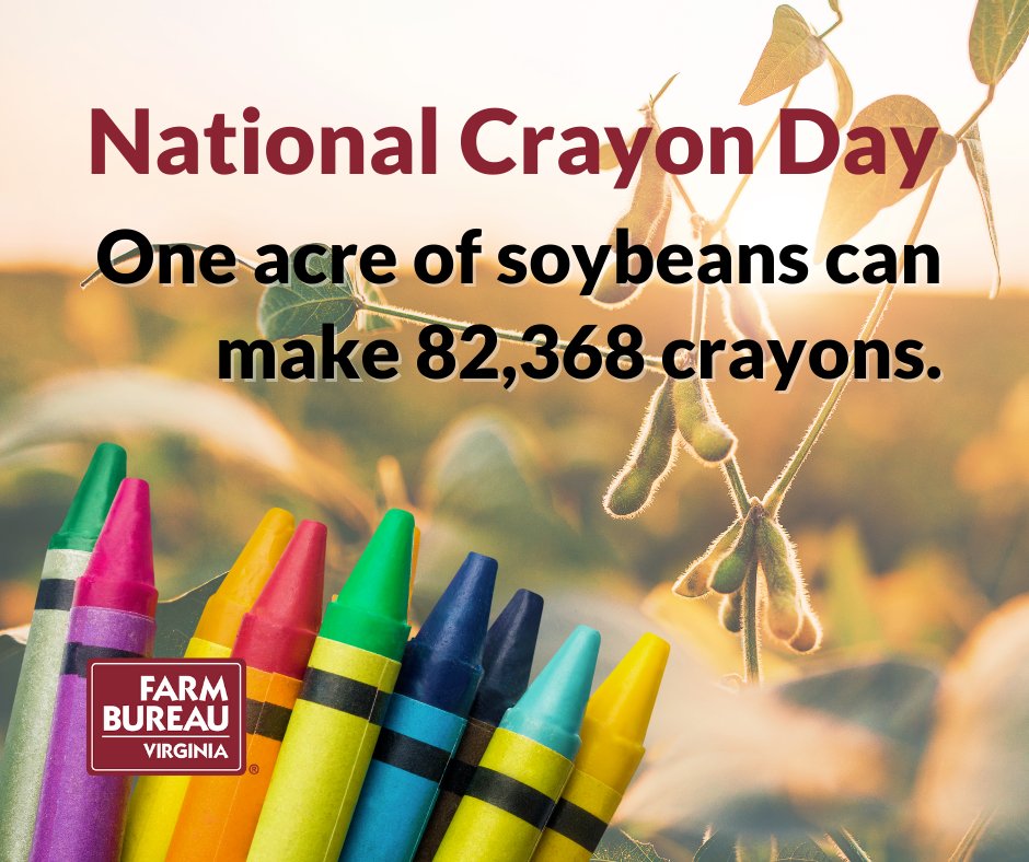 🖍️🌱 Soybeans make crayons more vibrant, creates that perfect smooth glide across paper, and keeps those colorful creations from flaking away. 

#NationalCrayonDay #Crayons #Soybeans #VirginiaFarmBureau #LoveVaAg #SoyInnovation