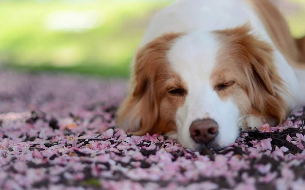 <a href="/Mari__Samsonova/">Мария Самсонова 💕</a> <a href="/_Nata_Sokol/">Наталья Соколова </a> <a href="/_Mila_Romanova/">Мила Романова 🔙</a> <a href="/_VitaKnyazeva/">Виталия Князева</a> <a href="/Lara_Smurova/">Лариса Смурова 🚀</a> <a href="/Alisiya_Pankova/">Алисия Панкова 💥«</a> <a href="/Dana__Levina/">💞 Дана Левина 💞</a> <a href="/_NikaSmirnova/">Ника Смирнова 🦋</a> <a href="/_PolinaSavina/">Полина Савина 🧢</a> <a href="/_TatyanaGolub/">Татьяна Голубева 🔥«</a> <a href="/Evelina__Lapina/">Эвелина Лапина</a> <a href="/Mishel_Lebedeva/">Мишель Лебедева</a> <a href="/BogSuvorova/">Богдана Суворова</a> <a href="/Karina__Zimina/">Карина Зимина 🦋</a> <a href="/Dominik_Svetova/">Доминика Светова</a> <a href="/Yuliya_Verina/">Юлия Верина 🍁</a> <a href="/_Anna_Gordeeva/">Анна Гордеева</a> <a href="/Frolova__Nastya/">Анастасия Фролова ✨</a> <a href="/Val_Valereva/">Валентина Валерьева</a> <a href="/Evgen_Safina/">Евгения Сафина</a> <a href="/Liza_Vesnina/">Лизавета Веснина</a> <a href="/Sveta_Makeina/">Светлана Макеина</a> <a href="/Kseniya_Aksen/">Ксения Аксенова</a> <a href="/_OksanaFirsova/">Оксана Фирсова</a> <a href="/Roza_Rakitina/">Роза Ракитина</a> <a href="/IrishaKoroleva/">Ирина Королева</a> <a href="/_VladaBelova/">Влада Белова</a> <a href="/ya__chara/">Яна</a> <a href="/alberiniks/">Нина Альбертова</a> <a href="/lady__travel/">Нинэлька</a> <a href="/Ansupers/">Анастасия</a> <a href="/Alisa550055/">Алиса</a> <a href="/glamour__fifa/">Нэнси</a> <a href="/santairis_/">Ириска</a> <a href="/polovinkamoya/">Валентина</a> <a href="/niguzan/">Нина</a> <a href="/moyi_angel/">Ангелина</a> <a href="/ledi__briz/">Алина Голубкова</a> <a href="/Irina__Grad/">Ирина Градова</a> <a href="/shelkalina/">Galina Shelest</a> <a href="/leopoldolarag/">Leopoldo Lara</a> <a href="/P_barbaricina/">Patricia ♦️®🇮🇹</a> <a href="/VictoriAGVelan1/">Victoria Guerrero Velandia</a> <a href="/alpost19718/">Istina</a> <a href="/Anatolii70/">.Анатолий70</a> <a href="/Igor55549244/">Igor</a> <a href="/Vladimi94915948/">Vladimir</a> <a href="/math_007tutor/">Цифровой репетитор по математике физике английский</a> <a href="/olv42/">Анна Ильиных</a> <a href="/iO0WDvcSpnyOba5/">Люба</a>