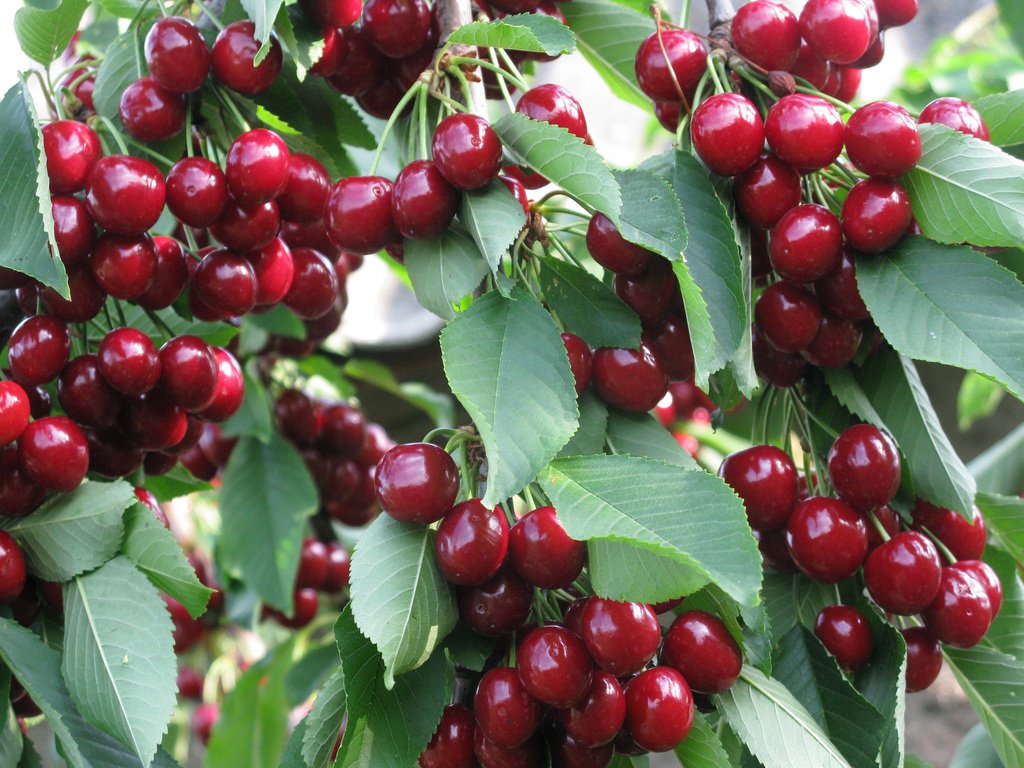 <a href="/Mari__Samsonova/">Мария Самсонова 💕</a> <a href="/_Nata_Sokol/">Наталья Соколова </a> <a href="/_Mila_Romanova/">Мила Романова 🔙</a> <a href="/_VitaKnyazeva/">Виталия Князева</a> <a href="/Lara_Smurova/">Лариса Смурова 🚀</a> <a href="/Alisiya_Pankova/">Алисия Панкова 💥«</a> <a href="/Dana__Levina/">💞 Дана Левина 💞</a> <a href="/_NikaSmirnova/">Ника Смирнова 🦋</a> <a href="/_PolinaSavina/">Полина Савина 🧢</a> <a href="/_TatyanaGolub/">Татьяна Голубева 🔥«</a> <a href="/Evelina__Lapina/">Эвелина Лапина</a> <a href="/Mishel_Lebedeva/">Мишель Лебедева</a> <a href="/BogSuvorova/">Богдана Суворова</a> <a href="/Karina__Zimina/">Карина Зимина 🦋</a> <a href="/Dominik_Svetova/">Доминика Светова</a> <a href="/Yuliya_Verina/">Юлия Верина 🍁</a> <a href="/_Anna_Gordeeva/">Анна Гордеева</a> <a href="/Frolova__Nastya/">Анастасия Фролова ✨</a> <a href="/Val_Valereva/">Валентина Валерьева</a> <a href="/Evgen_Safina/">Евгения Сафина</a> <a href="/Liza_Vesnina/">Лизавета Веснина</a> <a href="/Sveta_Makeina/">Светлана Макеина</a> <a href="/Kseniya_Aksen/">Ксения Аксенова</a> <a href="/_OksanaFirsova/">Оксана Фирсова</a> <a href="/Roza_Rakitina/">Роза Ракитина</a> <a href="/IrishaKoroleva/">Ирина Королева</a> <a href="/_VladaBelova/">Влада Белова</a> <a href="/ya__chara/">Яна</a> <a href="/alberiniks/">Нина Альбертова</a> <a href="/lady__travel/">Нинэлька</a> <a href="/Ansupers/">Анастасия</a> <a href="/Alisa550055/">Алиса</a> <a href="/glamour__fifa/">Нэнси</a> <a href="/santairis_/">Ириска</a> <a href="/polovinkamoya/">Валентина</a> <a href="/niguzan/">Нина</a> <a href="/moyi_angel/">Ангелина</a> <a href="/ledi__briz/">Алина Голубкова</a> <a href="/Irina__Grad/">Ирина Градова</a> <a href="/shelkalina/">Galina Shelest</a> <a href="/leopoldolarag/">Leopoldo Lara</a> <a href="/P_barbaricina/">Patricia ♦️®🇮🇹</a> <a href="/VictoriAGVelan1/">Victoria Guerrero Velandia</a> <a href="/alpost19718/">Istina</a> <a href="/Anatolii70/">.Анатолий70</a> <a href="/Igor55549244/">Igor</a> <a href="/Vladimi94915948/">Vladimir</a> <a href="/math_007tutor/">Цифровой репетитор по математике физике английский</a> <a href="/olv42/">Анна Ильиных</a> <a href="/iO0WDvcSpnyOba5/">Люба</a>