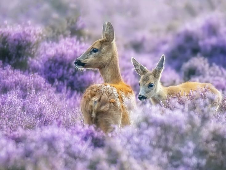 <a href="/Mari__Samsonova/">Мария Самсонова 💕</a> <a href="/_Nata_Sokol/">Наталья Соколова </a> <a href="/_Mila_Romanova/">Мила Романова 🔙</a> <a href="/_VitaKnyazeva/">Виталия Князева</a> <a href="/Lara_Smurova/">Лариса Смурова 🚀</a> <a href="/Alisiya_Pankova/">Алисия Панкова 💥«</a> <a href="/Dana__Levina/">💞 Дана Левина 💞</a> <a href="/_NikaSmirnova/">Ника Смирнова 🦋</a> <a href="/_PolinaSavina/">Полина Савина 🧢</a> <a href="/_TatyanaGolub/">Татьяна Голубева 🔥«</a> <a href="/Evelina__Lapina/">Эвелина Лапина</a> <a href="/Mishel_Lebedeva/">Мишель Лебедева</a> <a href="/BogSuvorova/">Богдана Суворова</a> <a href="/Karina__Zimina/">Карина Зимина 🦋</a> <a href="/Dominik_Svetova/">Доминика Светова</a> <a href="/Yuliya_Verina/">Юлия Верина 🍁</a> <a href="/_Anna_Gordeeva/">Анна Гордеева</a> <a href="/Frolova__Nastya/">Анастасия Фролова ✨</a> <a href="/Val_Valereva/">Валентина Валерьева</a> <a href="/Evgen_Safina/">Евгения Сафина</a> <a href="/Liza_Vesnina/">Лизавета Веснина</a> <a href="/Sveta_Makeina/">Светлана Макеина</a> <a href="/Kseniya_Aksen/">Ксения Аксенова</a> <a href="/_OksanaFirsova/">Оксана Фирсова</a> <a href="/Roza_Rakitina/">Роза Ракитина</a> <a href="/IrishaKoroleva/">Ирина Королева</a> <a href="/_VladaBelova/">Влада Белова</a> <a href="/ya__chara/">Яна</a> <a href="/alberiniks/">Нина Альбертова</a> <a href="/lady__travel/">Нинэлька</a> <a href="/Ansupers/">Анастасия</a> <a href="/Alisa550055/">Алиса</a> <a href="/glamour__fifa/">Нэнси</a> <a href="/santairis_/">Ириска</a> <a href="/polovinkamoya/">Валентина</a> <a href="/niguzan/">Нина</a> <a href="/moyi_angel/">Ангелина</a> <a href="/ledi__briz/">Алина Голубкова</a> <a href="/Irina__Grad/">Ирина Градова</a> <a href="/shelkalina/">Galina Shelest</a> <a href="/leopoldolarag/">Leopoldo Lara</a> <a href="/P_barbaricina/">Patricia ♦️®🇮🇹</a> <a href="/VictoriAGVelan1/">Victoria Guerrero Velandia</a> <a href="/alpost19718/">Istina</a> <a href="/Anatolii70/">.Анатолий70</a> <a href="/Igor55549244/">Igor</a> <a href="/Vladimi94915948/">Vladimir</a> <a href="/math_007tutor/">Цифровой репетитор по математике физике английский</a> <a href="/olv42/">Анна Ильиных</a> <a href="/iO0WDvcSpnyOba5/">Люба</a>