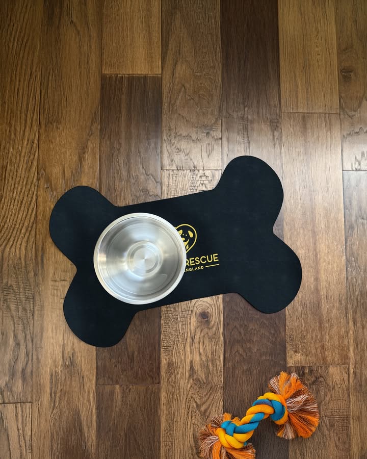 keyspec's tweet image. We've got you covered. From branded merchandise to promotional swag, we have everything you need to promote your brand. amp.fyi/-/9zsojNf2 #pens #socks #mats #spatulas