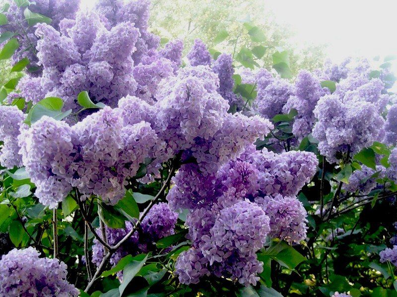 <a href="/Mari__Samsonova/">Мария Самсонова 💕</a> <a href="/_Nata_Sokol/">Наталья Соколова </a> <a href="/_Mila_Romanova/">Мила Романова 🔙</a> <a href="/_VitaKnyazeva/">Виталия Князева</a> <a href="/Lara_Smurova/">Лариса Смурова 🚀</a> <a href="/Alisiya_Pankova/">Алисия Панкова 💥«</a> <a href="/Dana__Levina/">💞 Дана Левина 💞</a> <a href="/_NikaSmirnova/">Ника Смирнова 🦋</a> <a href="/_PolinaSavina/">Полина Савина 🧢</a> <a href="/_TatyanaGolub/">Татьяна Голубева 🔥«</a> <a href="/Evelina__Lapina/">Эвелина Лапина</a> <a href="/Mishel_Lebedeva/">Мишель Лебедева</a> <a href="/BogSuvorova/">Богдана Суворова</a> <a href="/Karina__Zimina/">Карина Зимина 🦋</a> <a href="/Dominik_Svetova/">Доминика Светова</a> <a href="/Yuliya_Verina/">Юлия Верина 🍁</a> <a href="/_Anna_Gordeeva/">Анна Гордеева</a> <a href="/Frolova__Nastya/">Анастасия Фролова ✨</a> <a href="/Val_Valereva/">Валентина Валерьева</a> <a href="/Evgen_Safina/">Евгения Сафина</a> <a href="/Liza_Vesnina/">Лизавета Веснина</a> <a href="/Sveta_Makeina/">Светлана Макеина</a> <a href="/Kseniya_Aksen/">Ксения Аксенова</a> <a href="/_OksanaFirsova/">Оксана Фирсова</a> <a href="/Roza_Rakitina/">Роза Ракитина</a> <a href="/IrishaKoroleva/">Ирина Королева</a> <a href="/_VladaBelova/">Влада Белова</a> <a href="/ya__chara/">Яна</a> <a href="/alberiniks/">Нина Альбертова</a> <a href="/lady__travel/">Нинэлька</a> <a href="/Ansupers/">Анастасия</a> <a href="/Alisa550055/">Алиса</a> <a href="/glamour__fifa/">Нэнси</a> <a href="/santairis_/">Ириска</a> <a href="/polovinkamoya/">Валентина</a> <a href="/niguzan/">Нина</a> <a href="/moyi_angel/">Ангелина</a> <a href="/ledi__briz/">Алина Голубкова</a> <a href="/Irina__Grad/">Ирина Градова</a> <a href="/shelkalina/">Galina Shelest</a> <a href="/leopoldolarag/">Leopoldo Lara</a> <a href="/P_barbaricina/">Patricia ♦️®🇮🇹</a> <a href="/VictoriAGVelan1/">Victoria Guerrero Velandia</a> <a href="/alpost19718/">Istina</a> <a href="/Anatolii70/">.Анатолий70</a> <a href="/Igor55549244/">Igor</a> <a href="/Vladimi94915948/">Vladimir</a> <a href="/math_007tutor/">Цифровой репетитор по математике физике английский</a> <a href="/olv42/">Анна Ильиных</a> <a href="/iO0WDvcSpnyOba5/">Люба</a>