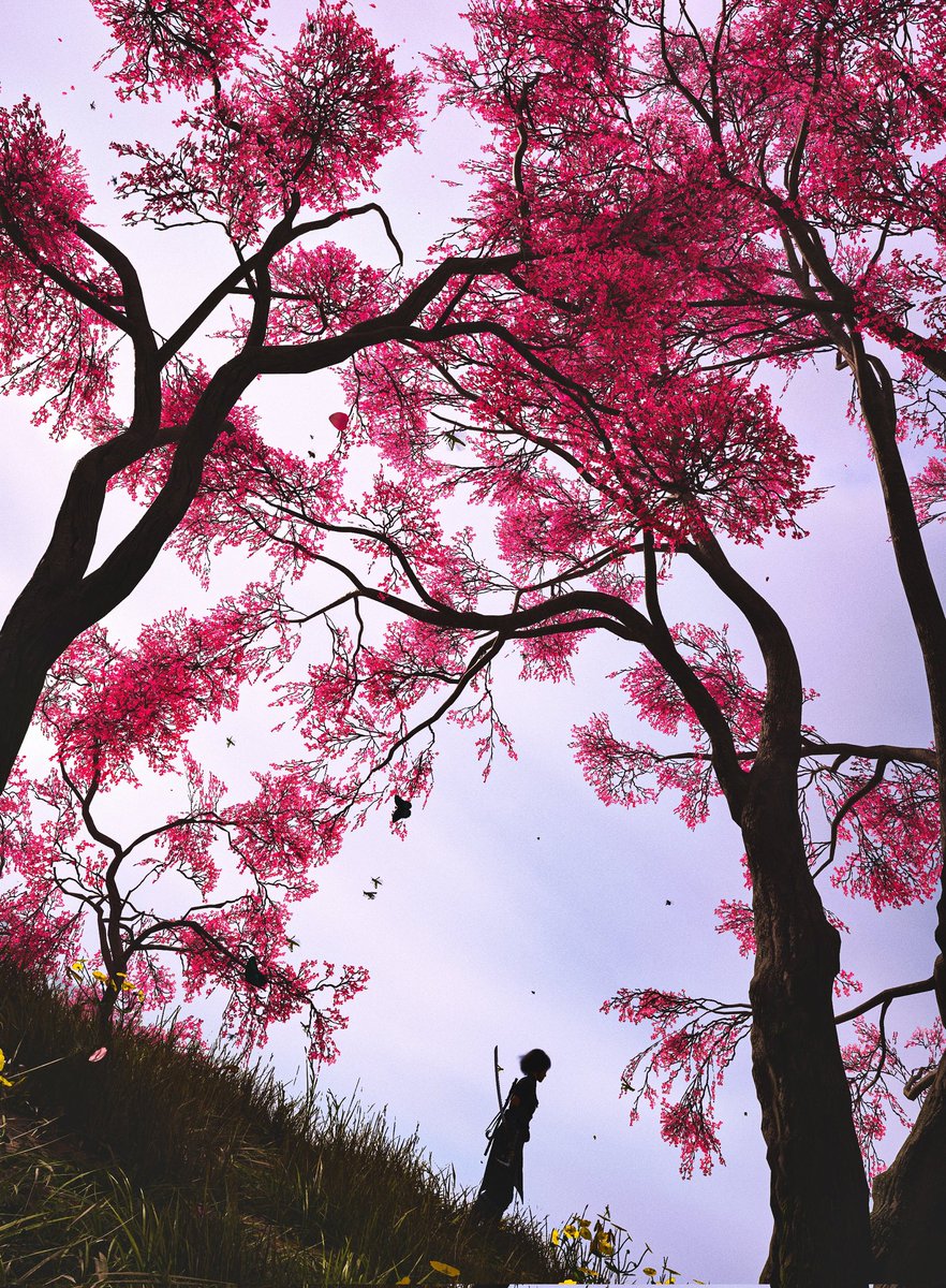 Nick VP📸 ✨️ tweet media