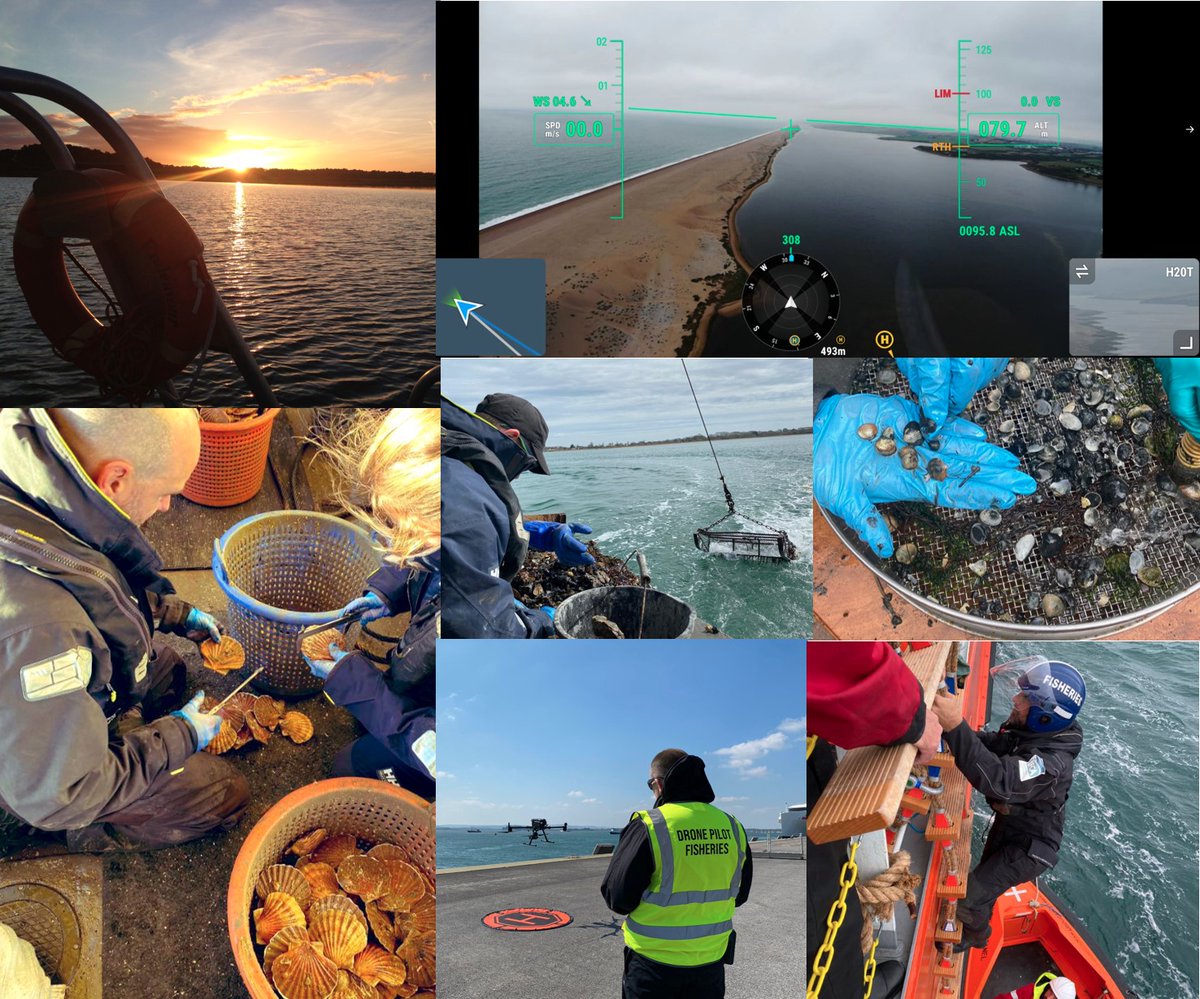 SouthernIFCA's tweet image. Southern IFCA have published our Annual Strategic Plan and Team Plans for 2025-2026 demonstrating our strategic direction for the coming year.
Please visit our website to see the Plans in full - southern-ifca.gov.uk/authority-repo…