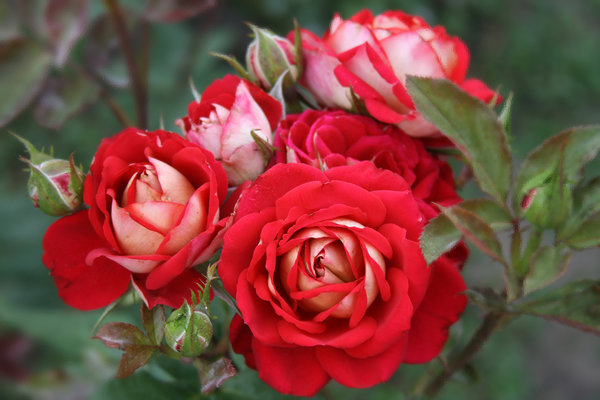 Евгения Сафина (@evgen_safina) on Twitter photo <a href="/Dominik_Svetova/">Доминика Светова</a> <a href="/Mari__Samsonova/">Мария Самсонова 💕</a> <a href="/_Nata_Sokol/">Наталья Соколова </a> <a href="/_Mila_Romanova/">Мила Романова 🔙</a> <a href="/_VitaKnyazeva/">Виталия Князева</a> <a href="/Lara_Smurova/">Лариса Смурова 🚀</a> <a href="/Alisiya_Pankova/">Алисия Панкова 💥«</a> <a href="/Dana__Levina/">💞 Дана Левина 💞</a> <a href="/_NikaSmirnova/">Ника Смирнова 🦋</a> <a href="/_PolinaSavina/">Полина Савина 🧢</a> <a href="/_TatyanaGolub/">Татьяна Голубева 🔥«</a> <a href="/Evelina__Lapina/">Эвелина Лапина</a> <a href="/Mishel_Lebedeva/">Мишель Лебедева</a> <a href="/BogSuvorova/">Богдана Суворова</a> <a href="/Karina__Zimina/">Карина Зимина 🦋</a> <a href="/Yuliya_Verina/">Юлия Верина 🍁</a> <a href="/_Anna_Gordeeva/">Анна Гордеева</a> <a href="/Frolova__Nastya/">Анастасия Фролова ✨</a> <a href="/Val_Valereva/">Валентина Валерьева</a> <a href="/Alina__Azarova/">Алина Азарова 🔥</a> <a href="/Liza_Vesnina/">Лизавета Веснина</a> <a href="/Sveta_Makeina/">Светлана Макеина</a> <a href="/Kseniya_Aksen/">Ксения Аксенова</a> <a href="/_OksanaFirsova/">Оксана Фирсова</a> <a href="/Roza_Rakitina/">Роза Ракитина</a> <a href="/IrishaKoroleva/">Ирина Королева</a> <a href="/_VladaBelova/">Влада Белова</a> <a href="/ya__chara/">Яна</a> <a href="/alberiniks/">Нина Альбертова</a> <a href="/lady__travel/">Нинэлька</a> <a href="/Ansupers/">Анастасия</a> <a href="/Alisa550055/">Алиса</a> <a href="/glamour__fifa/">Нэнси</a> <a href="/santairis_/">Ириска</a> <a href="/polovinkamoya/">Валентина</a> <a href="/niguzan/">Нина</a> <a href="/moyi_angel/">Ангелина</a> <a href="/ledi__briz/">Алина Голубкова</a> <a href="/Irina__Grad/">Ирина Градова</a> <a href="/shelkalina/">Galina Shelest</a> <a href="/leopoldolarag/">Leopoldo Lara</a> <a href="/P_barbaricina/">Patricia ♦️®🇮🇹</a> <a href="/VictoriAGVelan1/">Victoria Guerrero Velandia</a> <a href="/alpost19718/">Istina</a> <a href="/Anatolii70/">.Анатолий70</a> <a href="/Igor55549244/">Igor</a> <a href="/Vladimi94915948/">Vladimir</a> <a href="/math_007tutor/">Цифровой репетитор по математике физике английский</a> <a href="/olv42/">Анна Ильиных</a> <a href="/iO0WDvcSpnyOba5/">Люба</a> <a href="/Dominik_Svetova/">Доминика Светова</a> <a href="/Mari__Samsonova/">Мария Самсонова 💕</a> <a href="/_Nata_Sokol/">Наталья Соколова </a> <a href="/_Mila_Romanova/">Мила Романова 🔙</a> <a href="/_VitaKnyazeva/">Виталия Князева</a> <a href="/Lara_Smurova/">Лариса Смурова 🚀</a> <a href="/Alisiya_Pankova/">Алисия Панкова 💥«</a> <a href="/Dana__Levina/">💞 Дана Левина 💞</a> <a href="/_NikaSmirnova/">Ника Смирнова 🦋</a> <a href="/_PolinaSavina/">Полина Савина 🧢</a> <a href="/_TatyanaGolub/">Татьяна Голубева 🔥«</a> <a href="/Evelina__Lapina/">Эвелина Лапина</a> <a href="/Mishel_Lebedeva/">Мишель Лебедева</a> <a href="/BogSuvorova/">Богдана Суворова</a> <a href="/Karina__Zimina/">Карина Зимина 🦋</a> <a href="/Yuliya_Verina/">Юлия Верина 🍁</a> <a href="/_Anna_Gordeeva/">Анна Гордеева</a> <a href="/Frolova__Nastya/">Анастасия Фролова ✨</a> <a href="/Val_Valereva/">Валентина Валерьева</a> <a href="/Alina__Azarova/">Алина Азарова 🔥</a> <a href="/Liza_Vesnina/">Лизавета Веснина</a> <a href="/Sveta_Makeina/">Светлана Макеина</a> <a href="/Kseniya_Aksen/">Ксения Аксенова</a> <a href="/_OksanaFirsova/">Оксана Фирсова</a> <a href="/Roza_Rakitina/">Роза Ракитина</a> <a href="/IrishaKoroleva/">Ирина Королева</a> <a href="/_VladaBelova/">Влада Белова</a> <a href="/ya__chara/">Яна</a> <a href="/alberiniks/">Нина Альбертова</a> <a href="/lady__travel/">Нинэлька</a> <a href="/Ansupers/">Анастасия</a> <a href="/Alisa550055/">Алиса</a> <a href="/glamour__fifa/">Нэнси</a> <a href="/santairis_/">Ириска</a> <a href="/polovinkamoya/">Валентина</a> <a href="/niguzan/">Нина</a> <a href="/moyi_angel/">Ангелина</a> <a href="/ledi__briz/">Алина Голубкова</a> <a href="/Irina__Grad/">Ирина Градова</a> <a href="/shelkalina/">Galina Shelest</a> <a href="/leopoldolarag/">Leopoldo Lara</a> <a href="/P_barbaricina/">Patricia ♦️®🇮🇹</a> <a href="/VictoriAGVelan1/">Victoria Guerrero Velandia</a> <a href="/alpost19718/">Istina</a> <a href="/Anatolii70/">.Анатолий70</a> <a href="/Igor55549244/">Igor</a> <a href="/Vladimi94915948/">Vladimir</a> <a href="/math_007tutor/">Цифровой репетитор по математике физике английский</a> <a href="/olv42/">Анна Ильиных</a> <a href="/iO0WDvcSpnyOba5/">Люба</a>