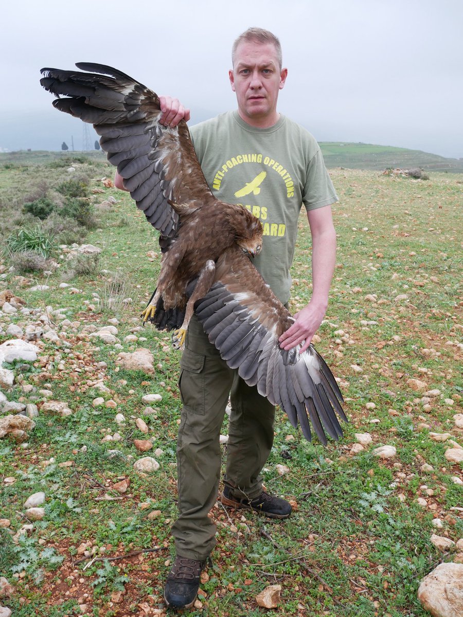⚠️📹 WATCH Rare eagle dies in mid-air - exposing illegal hunting in #Lebanon

Committee Against Bird Slaughter (CABS) team document poacher shooting #Lesserspottedeagle

Pls share &amp; help us draw attention to this ongoing massacre of migratory birds 🤬🦅🕊️

youtu.be/yw3zG1-oxko?si…
