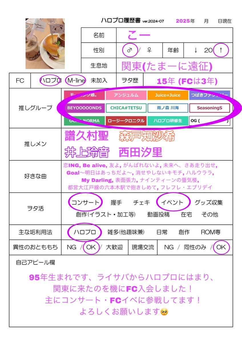 ひなフェス1人参戦して、ヲタ友さん羨ましかったので履歴書書きました！

#ハロプロ履歴書 
#ハロヲタさんと繋がりたい