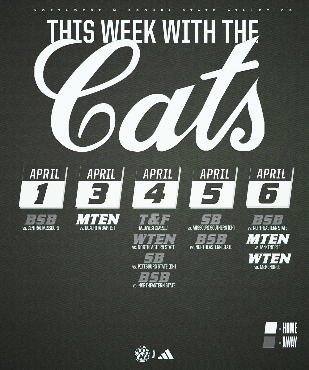 This week with the '𝓒𝓪𝓽𝓼 📅 

#OABAAB