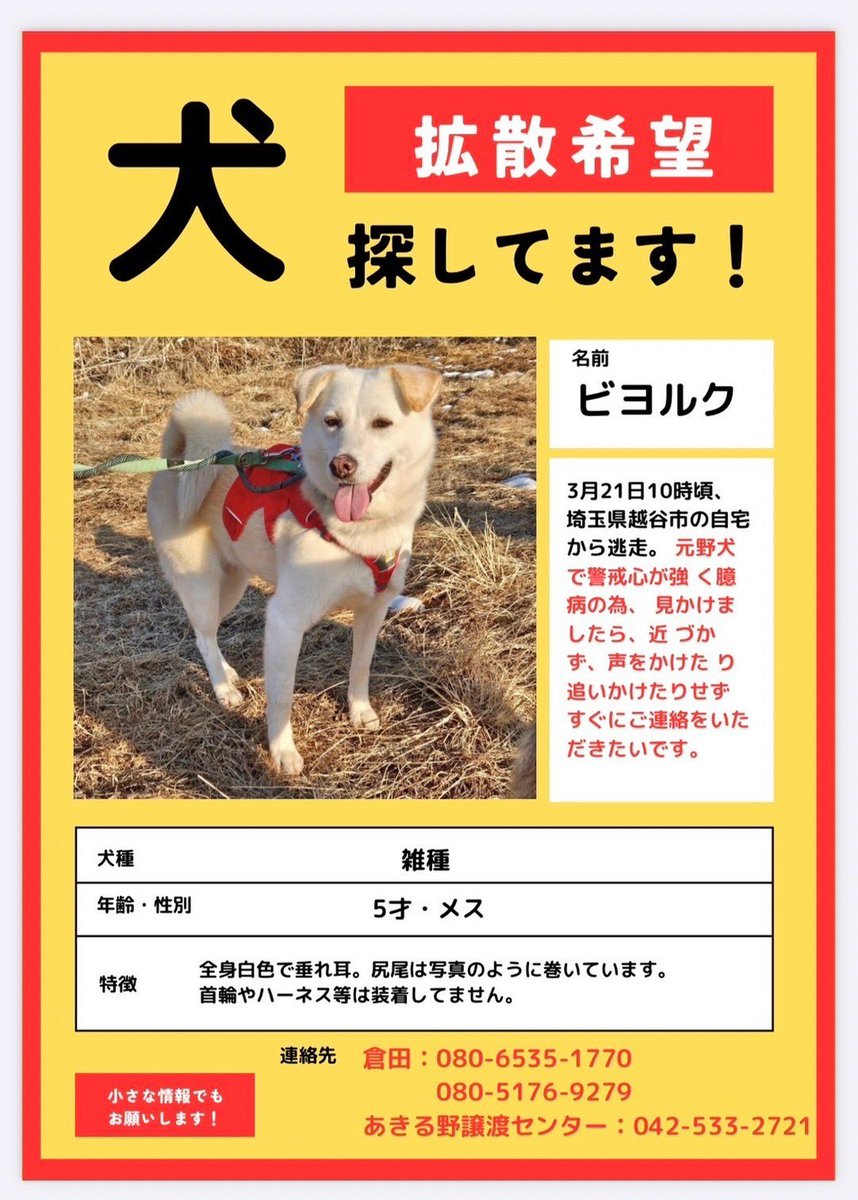 ゆうた tweet media