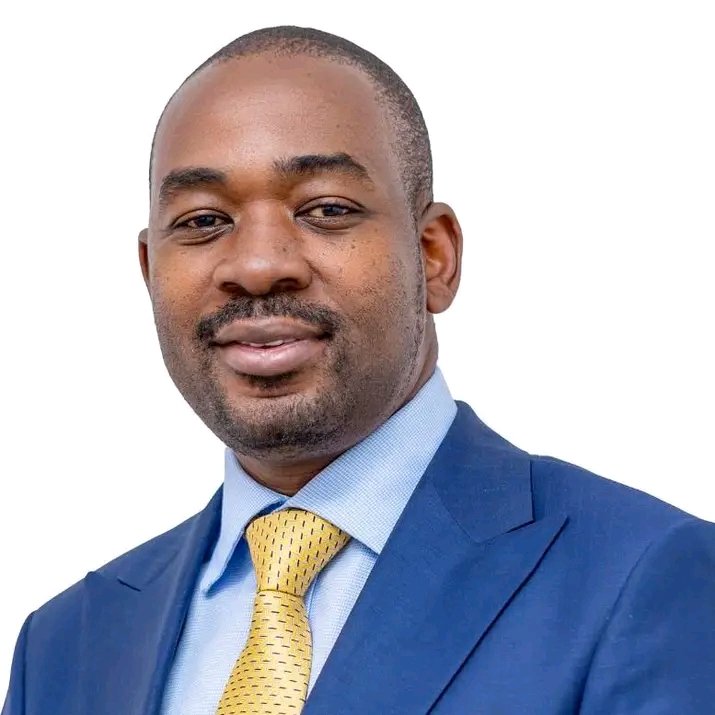 SthembiD's tweet image. This man wasted Zimbabwean's time.