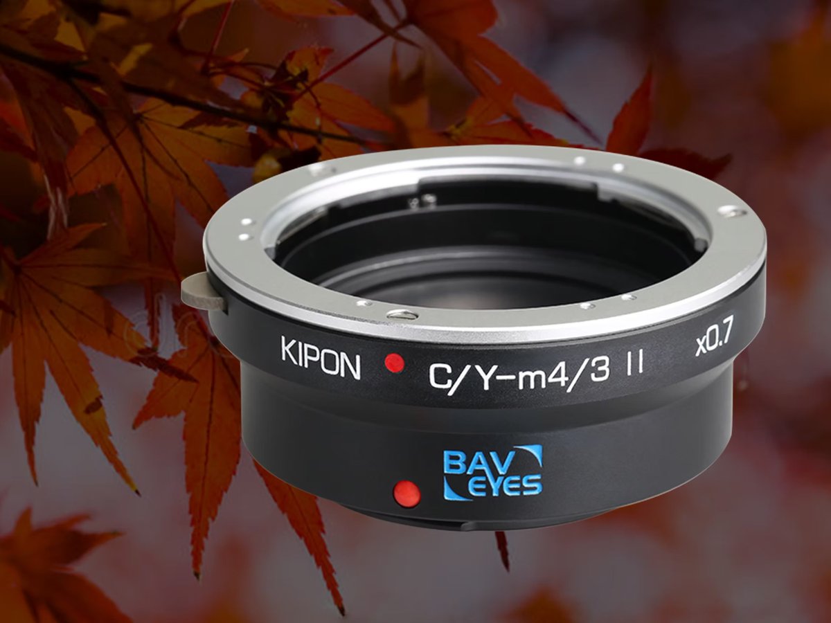 Helenanelson16's tweet image. Meta Description: Discover Module 8 at Kipon-Global—your trusted source for high-quality, innovative solutions. Get top-tier performance and reliability. Shop now! Visit Now: kipon-global.com

 #Module8 #KiponGlobal #Innovation #TechSolutions #QualityProducts