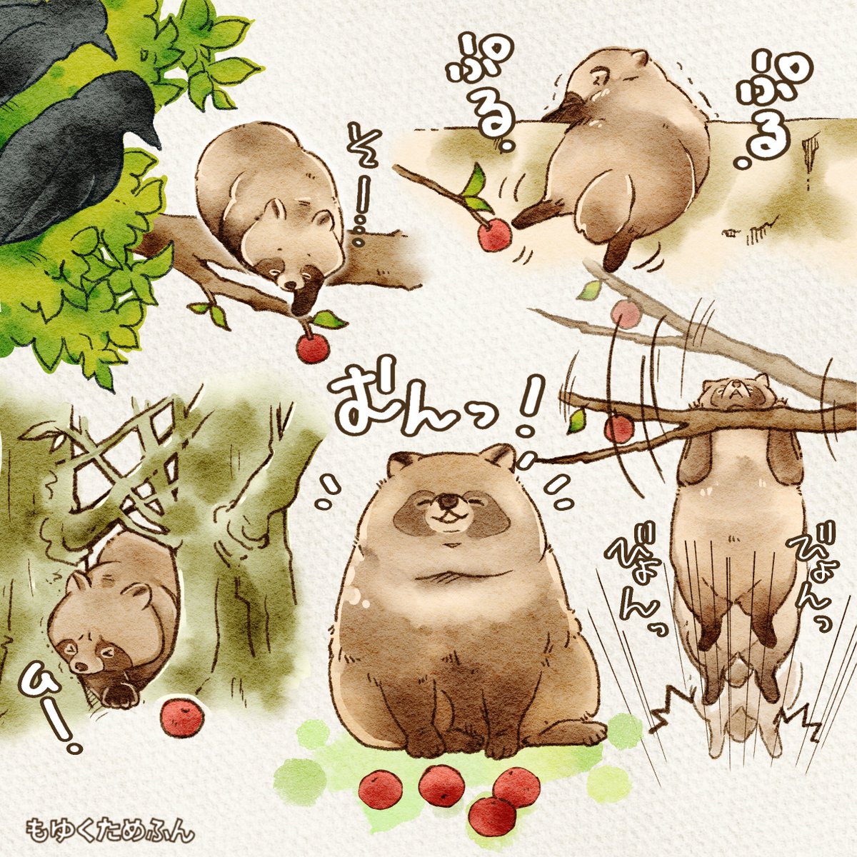 木の実集めたタヌキ
#タヌキ　#たぬき　#漫画