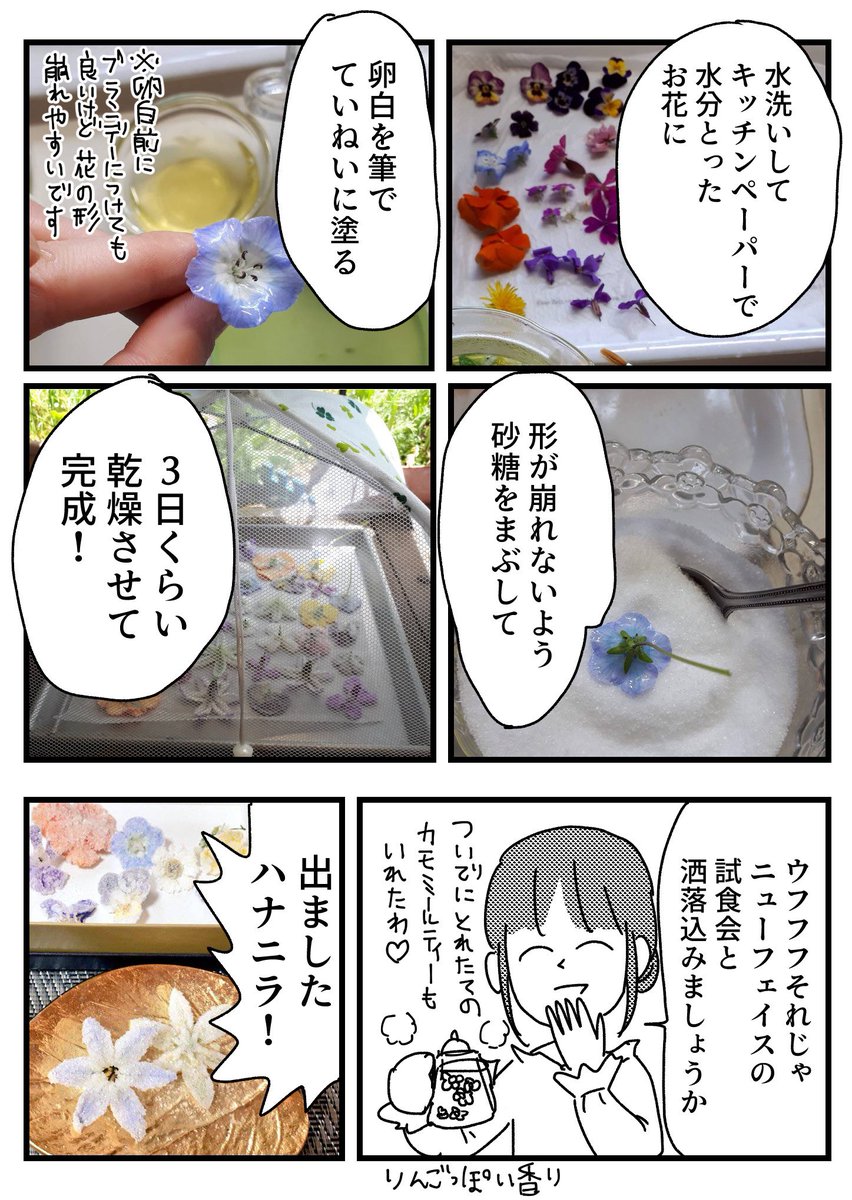 お花の砂糖漬け【再掲】 