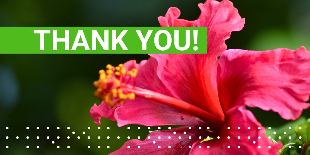 📣2025 SURVEY NOW CLOSED | Thank you so much to the HUNDREDS of human rights defenders who participated in our 2025 human rights research.

We are so grateful for the time and knowledge you shared - and we are now hard at work to analyse your responses.

Findings out in June!