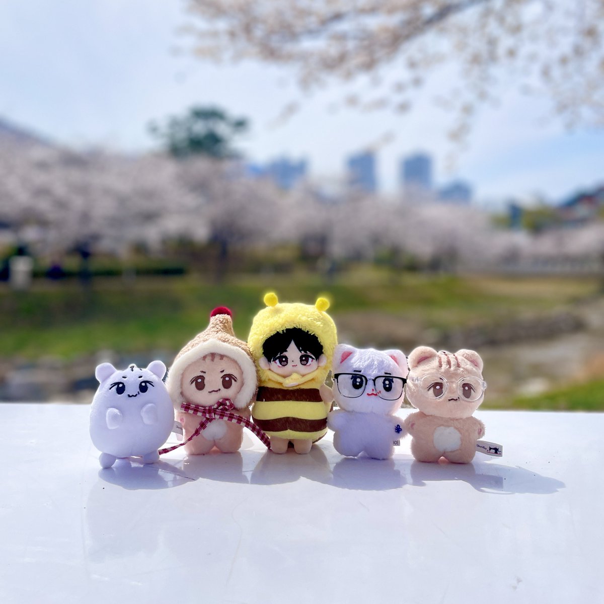 🌸빵둥이가좍 벚꽃 소풍다녀왔어요🌸