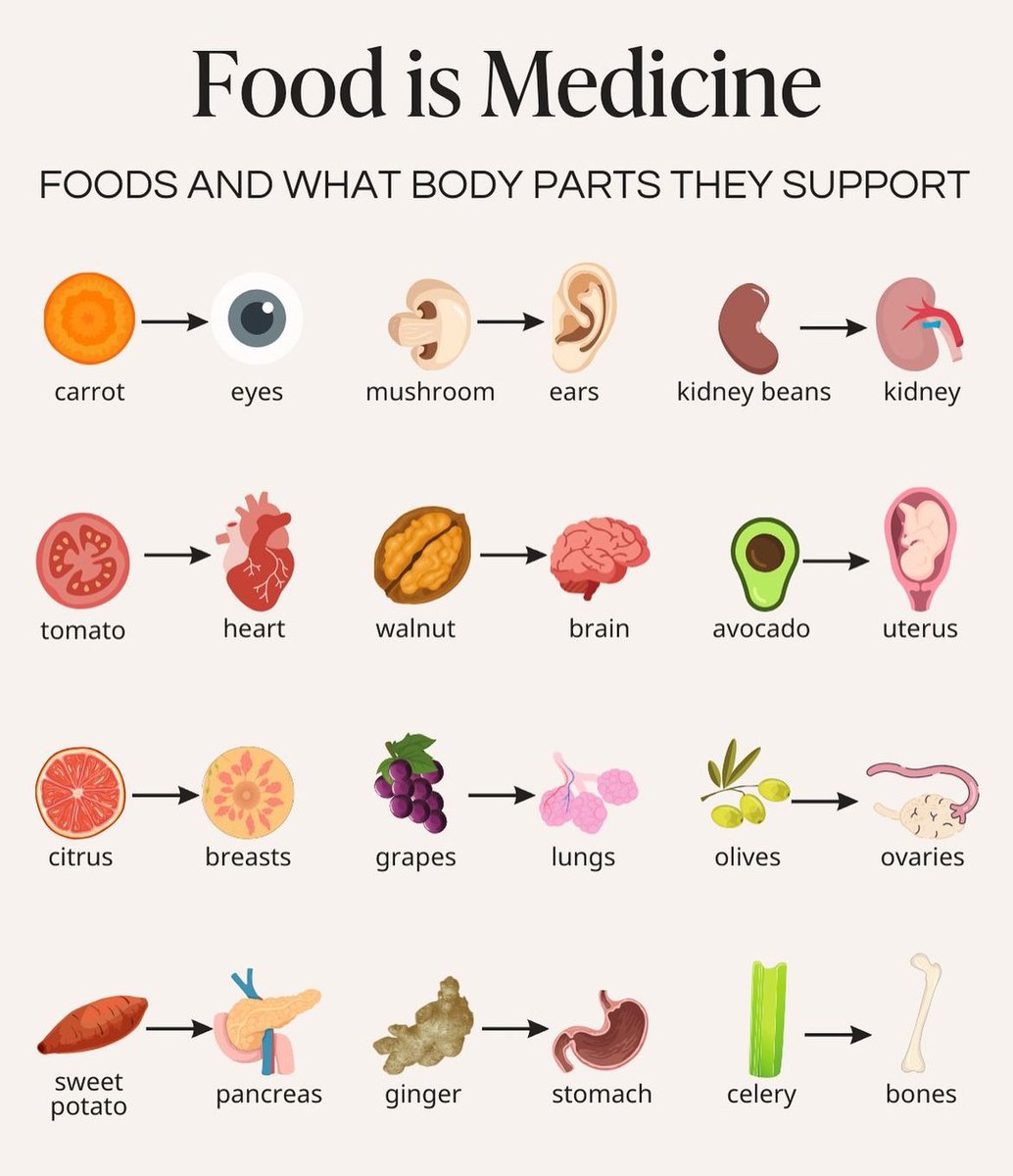 learnings01's tweet photo. Foods and what body parts they support 🥗💊 https://t.co/Nyan3UuciE