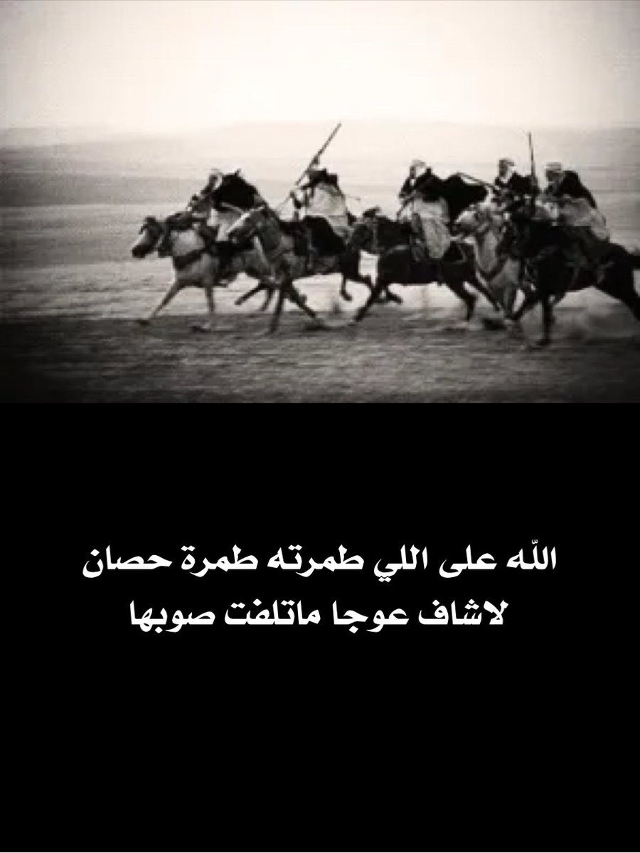 vip خاص نوادرالابل (@vib151515) on Twitter photo 