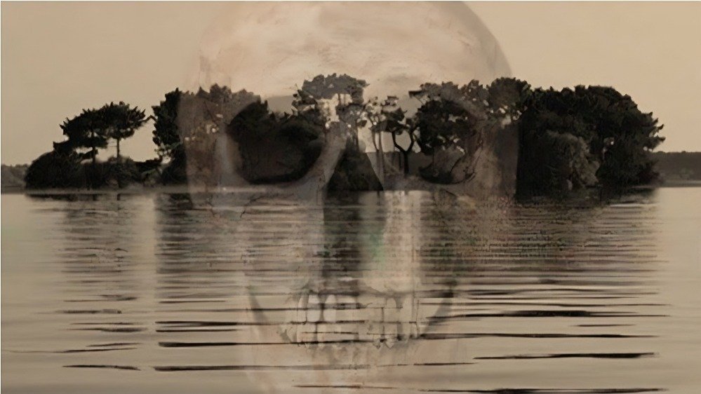 João Eigen tweet media