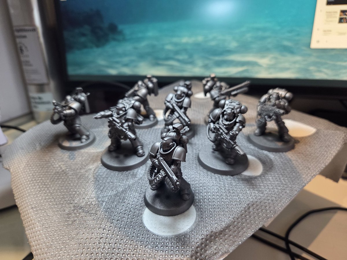 AuricTemplars's tweet image. Nothing like some freshly primed loyalists