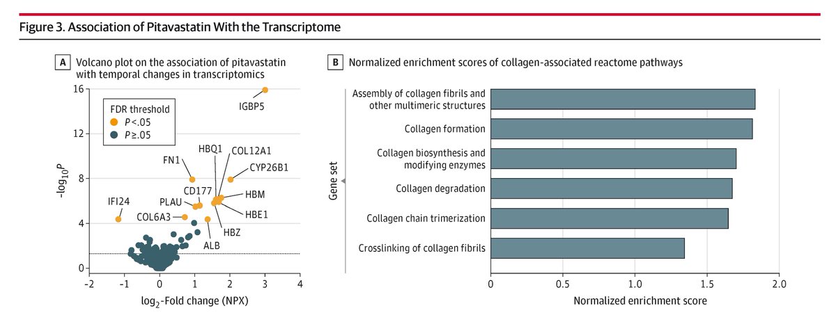 JAMA Cardiology (@jamacardio) on Twitter photo REPRIEVE trial: People with HIV are at increased risk of cardiovascular events due to noncalcified coronary plaque (NCP); pitavastatin reduces MACE and NCP volume, likely through collagen pathways, independent of LDL-C levels. ja.ma/3FGp2Sa <a href="/reprievetrial/">REPRIEVE Trial</a> REPRIEVE trial: People with HIV are at increased risk of cardiovascular events due to noncalcified coronary plaque (NCP); pitavastatin reduces MACE and NCP volume, likely through collagen pathways, independent of LDL-C levels. ja.ma/3FGp2Sa <a href="/reprievetrial/">REPRIEVE Trial</a>