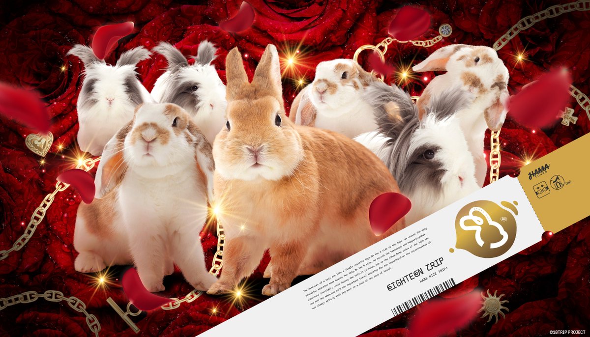 🐰BUNNY NICE TRIP🐰

HAMAへようこそ！

ラビホス区長たちが皆さまをおもてなしします。
本日のおもてなしツアーは「卯勢佐木町」で開催。

眠らない街で濃密な時間をお楽しみください🍸

#バニトリ　#エイトリ