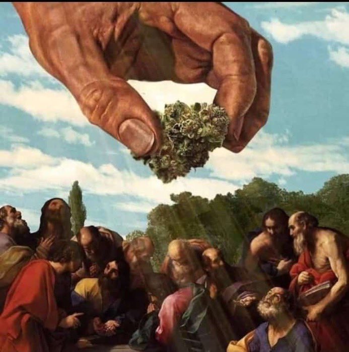 badboydopes's tweet photo. God’s precious gift to us, humans 💨❤️ https://t.co/YY1LusSiBJ