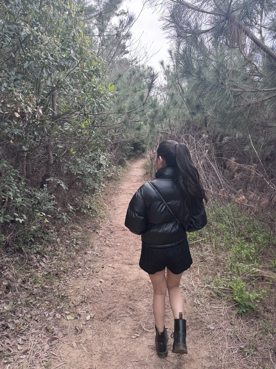 ジブリに出てきそうな道