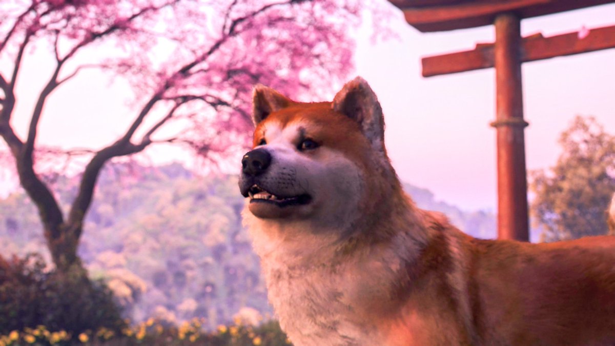 I'm not so sure about the game yet but boy do I love the Akitas 🥰

#AsassinsCreedShadows #PhotoModeMonday #VGPUnite