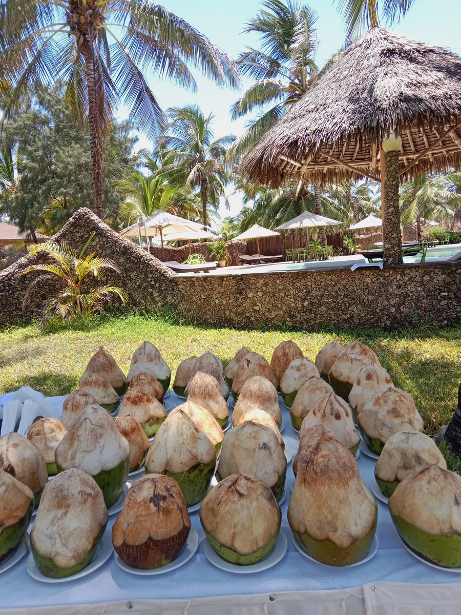 OceanBeach01's tweet photo. Destination Wedding 

#wedding #beachwedding #destinationwedding 
#oceanbeach #oceanbeachresort #oceanbeachresortmalindi https://t.co/l02y7ZoyaF