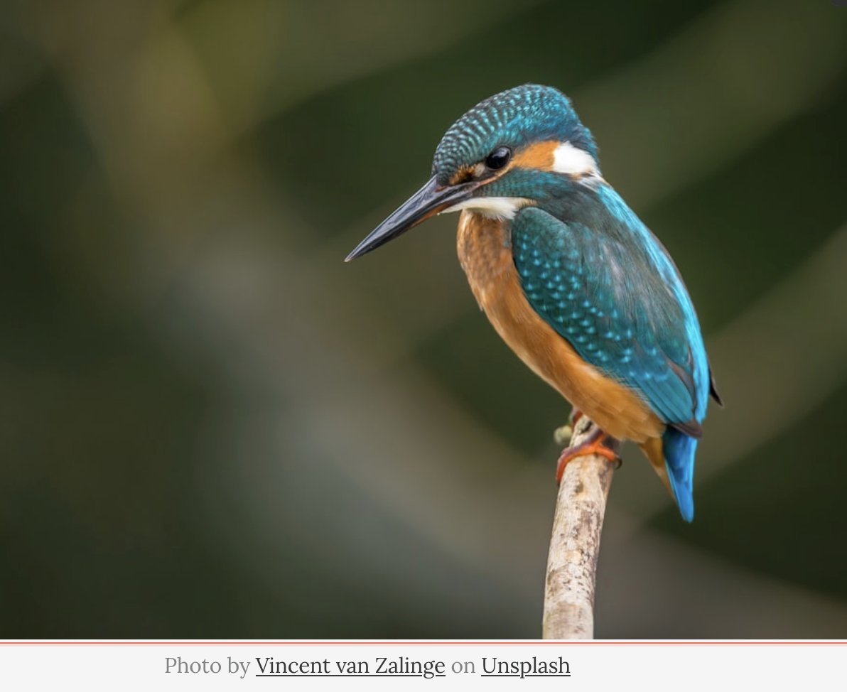 Raising the bar on reading!

‘Simply  reading challenging novels aloud, and at a fast pace in each lesson,  repositioned ‘poorer’ readers as ‘good’ readers, giving them a more  engaged, uninterrupted reading experience over a sustained period.’

Who, in education, wouldn’t love