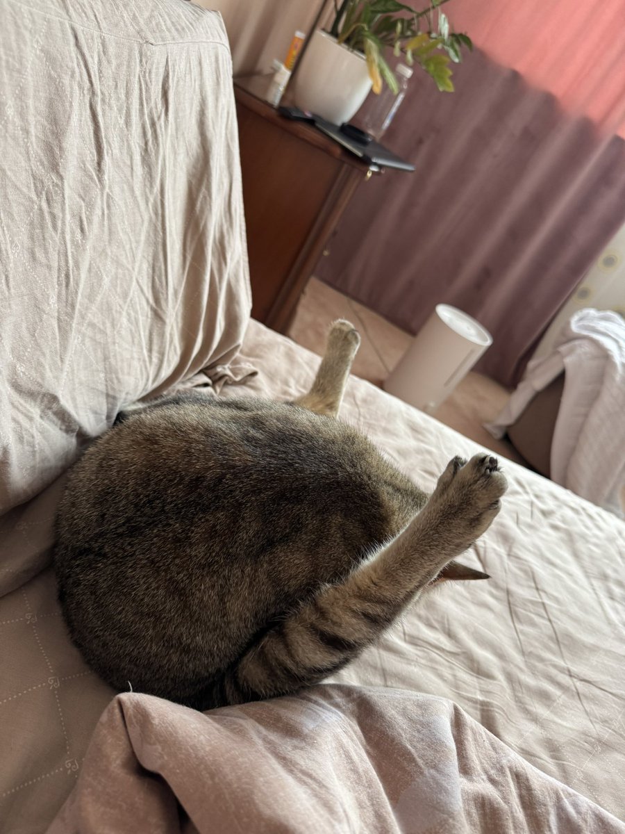 Мы не знаем што ето такое, если бы мы знали што ето такое, мы не знаем… 😮