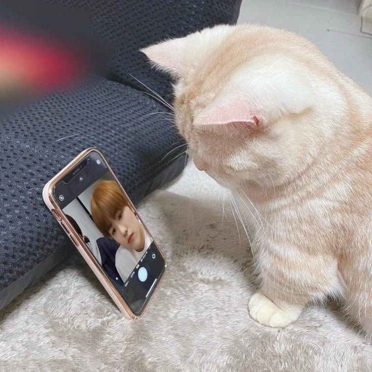 j3autumn's tweet photo. งอนยัย https://t.co/VZREClxwG7