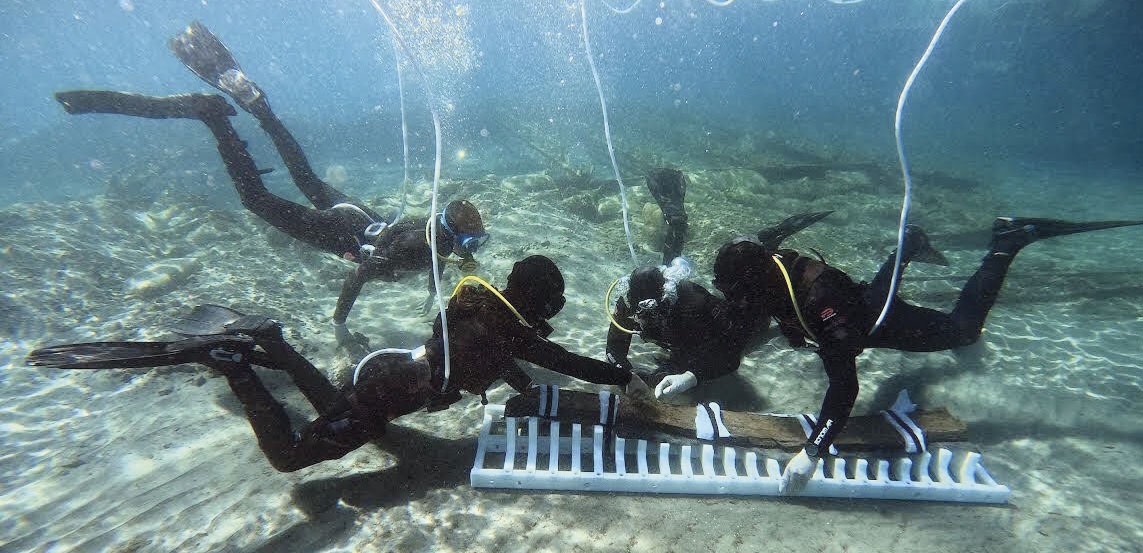 Anabel Gutiérrez tweet media