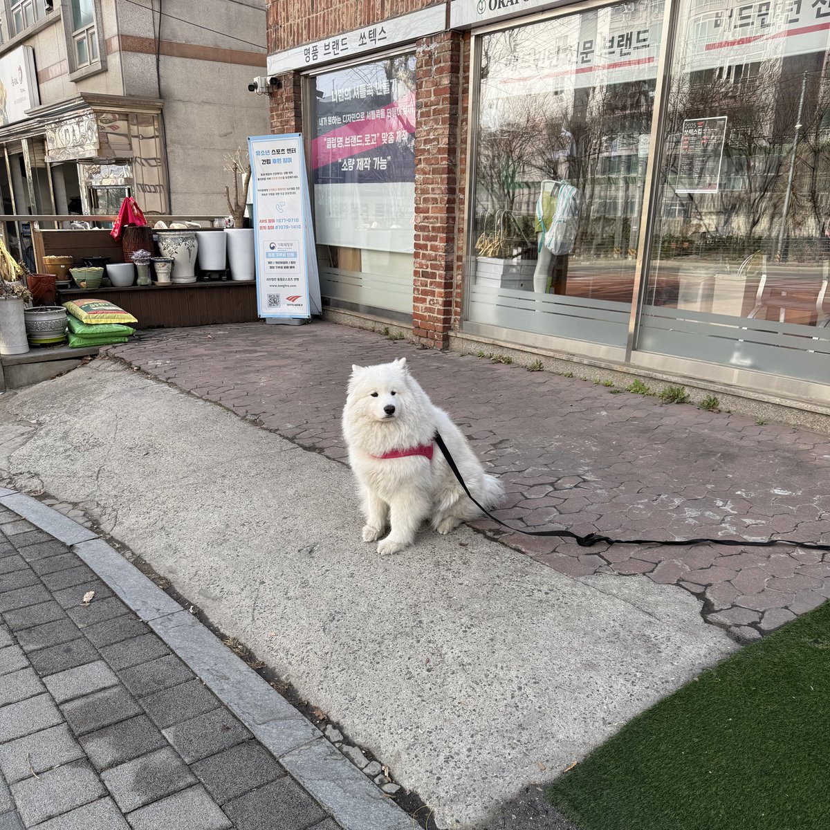 인형인줄알았어요 정말 너무 놀랐어