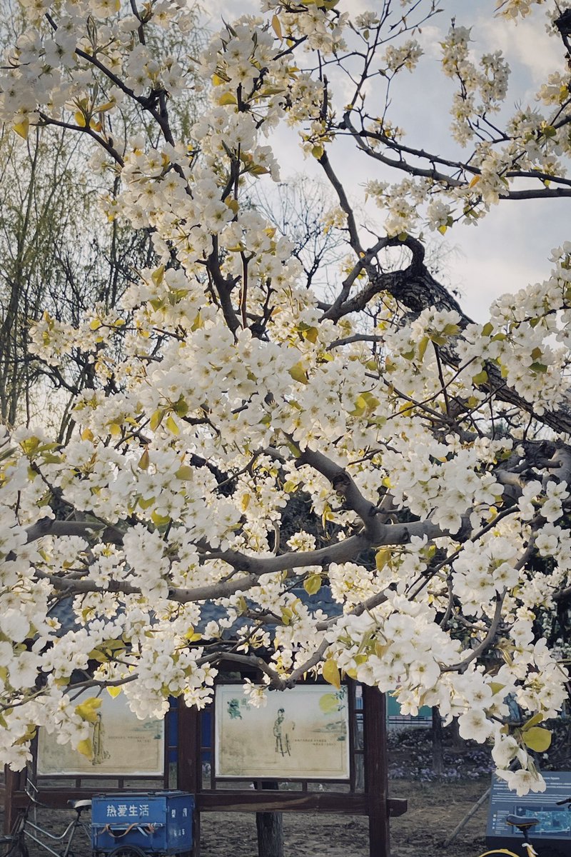 定位BEIJING，晚上没人可以来拍组外露。有麻豆互勉来拍吗