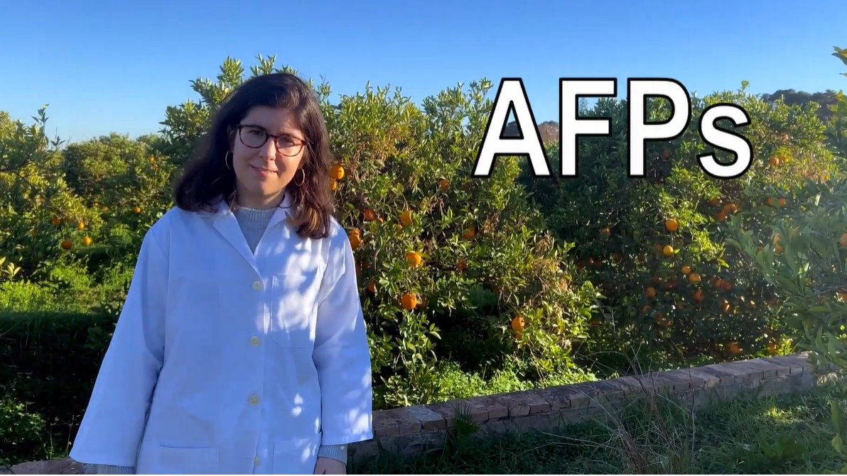 Carolina Ropero, investigadora predoctoral del grupo <a href="/FungalFact/">FungalFact</a>, ha sido seleccionada como una de las ganadoras del concurso de divulgación audiovisual #Cuéntame11F

Ha explicado su trabajo en nuevos compuestos antifúngicos para proteger los cítricos 🍊
▶️youtu.be/p9OQsN8_duk?si…