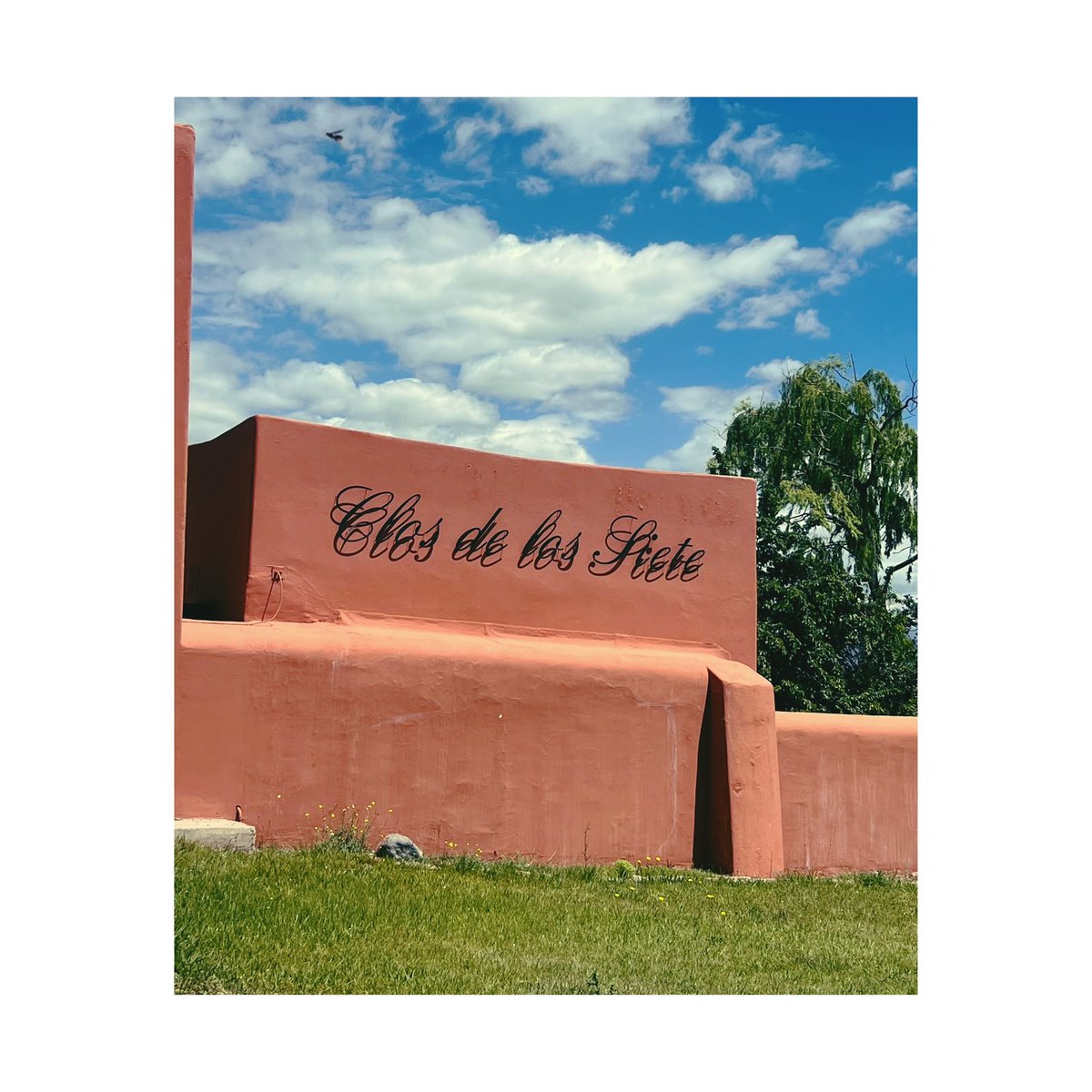 Exploring the beautiful winery of Michel Rolland at Clos de los Siete, gracefully situated amidst the breathtaking landscapes near the Andes Mountains in Mendoza, Argentina. 🍇🍷🏔️